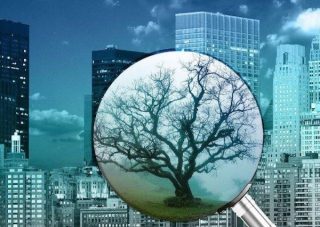 Staňte sa Laudato Si’ animátorom a pomáhajte v starostlivosti o stvorenie