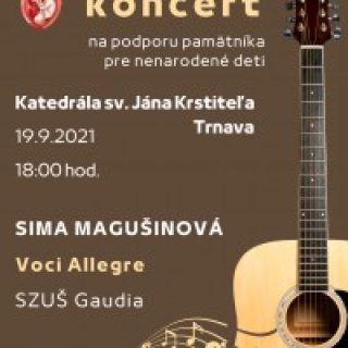 Benefičný koncert