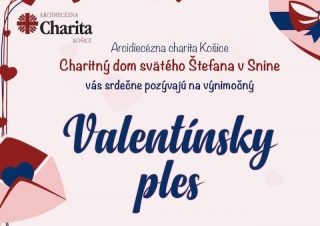 Mladí so zdravotným znevýhodnením v Snine zažiaria na svojom plese