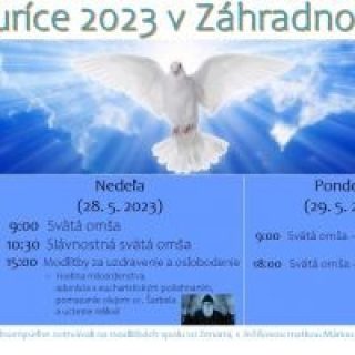 Turíce v Záhradnom