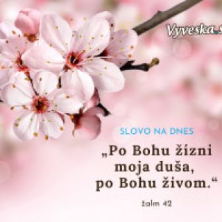 Tri dni s encyklikou Laudato si'