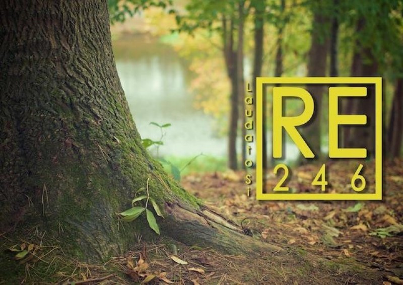 Kampaň RE – 246 pozýva k skutkom lásky podľa encykliky Laudato si