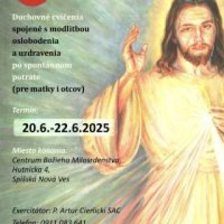 MILUJÚCA NÁRUČ -DC pre zranených spontánnym potratom